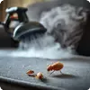 Обработка от пылевых клещей
